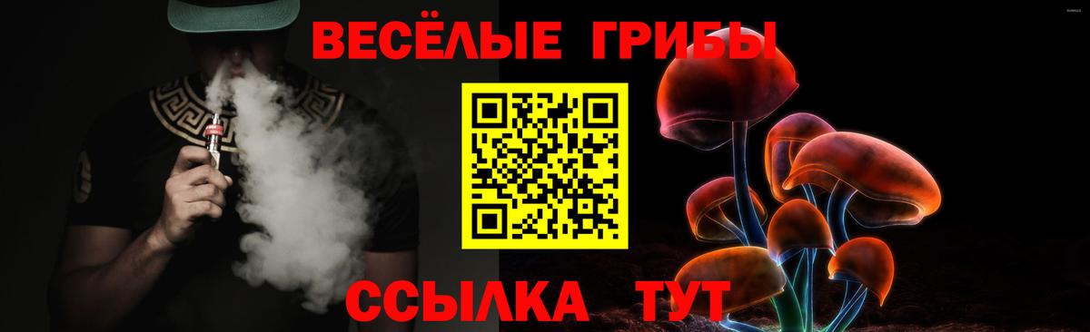 Псилоцибиновые грибы ЛСД  Вход с VPN  Чистополь  Псилоцибиновые грибы ЛСД 
